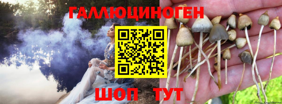 Псилоцибиновые грибы мухоморы  Вход с VPN  Нефтекамск 