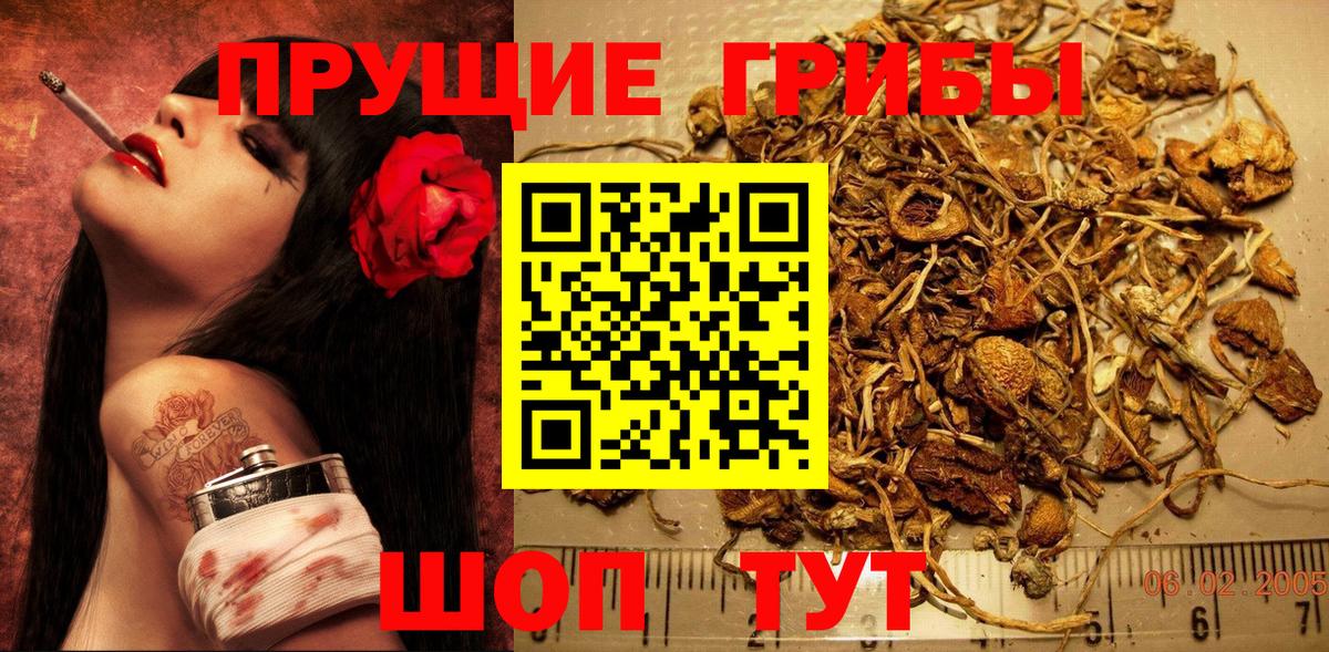 Галлюциногенные грибы Psilocybine cubensis Нефтекамск